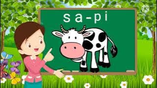 Learn to read and spelling for kindergarten and elementary school children