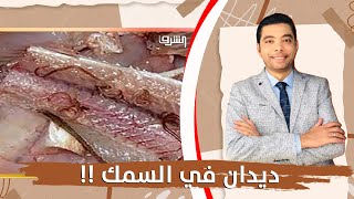 نقيب الصيادين : ديدان السمك لا تضر ونادر فتوح ساخرا : يعني كلوا الدود وانتو مطمنين !!