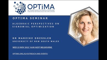 Algebraic perspectives on signomial optimization