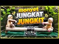 Monyet Jungkat Jungkit Tenaga Air 💧🐒 [22/05]