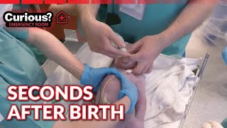 Download Lagu Pediatric Resuscitation Right After Birth MP3 Download Lagu Pediatric Resuscitation Right After Birth MP3