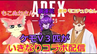【＃APEX】ケモV３匹がいきなりコラボ配信！！！【＃コラボ配信】