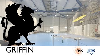 Model based approach for lateral maneuvers of bird size ornithopter