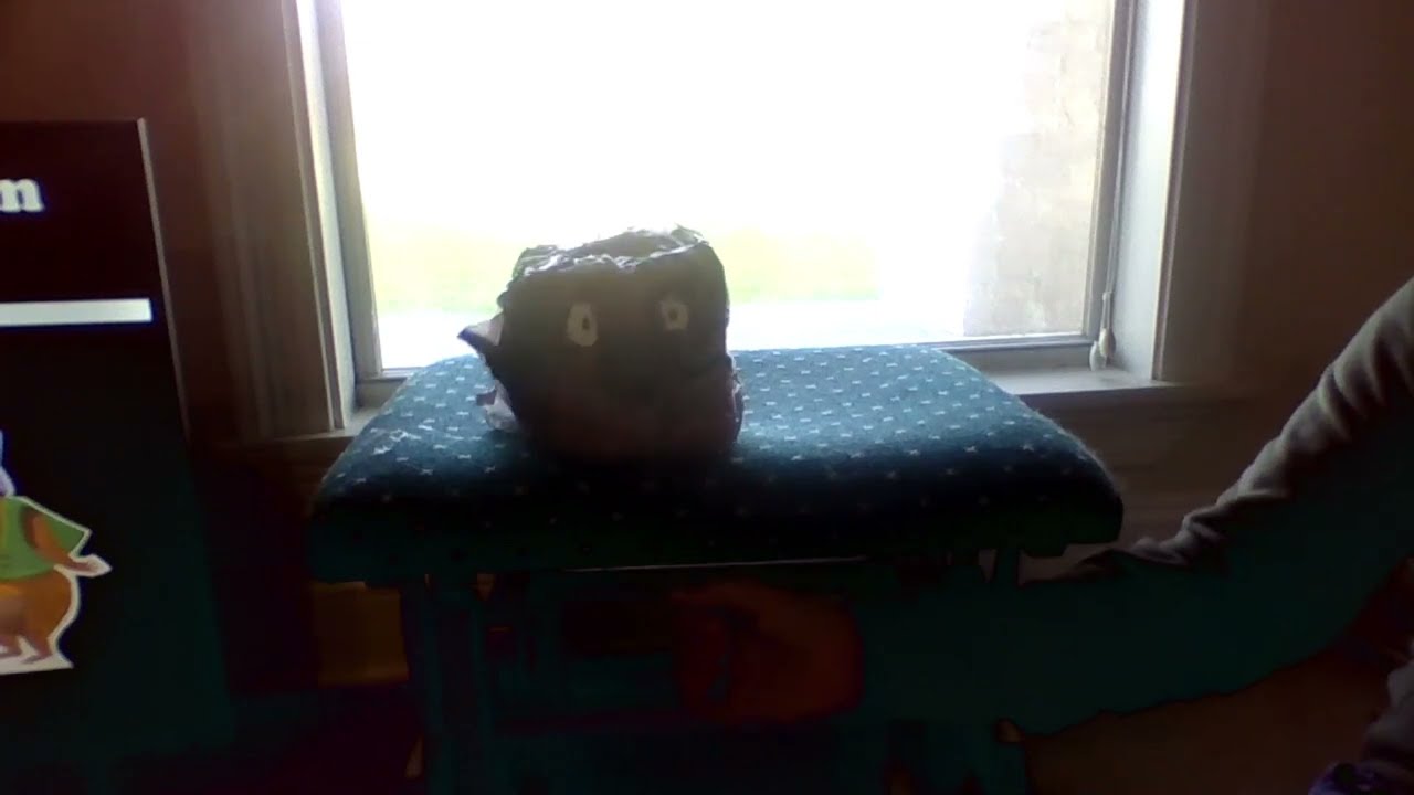 Homemade Crow Quartet Head (Non-Mech) Animatronic