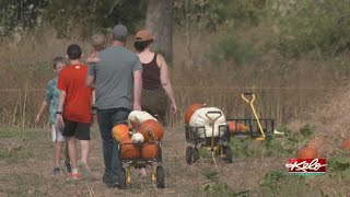 Battling warm temperatures at the pumpkin patch