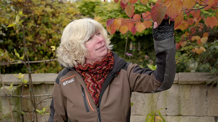 STIHL Autumn Garden Guide with Jane Moore | STIHL GB