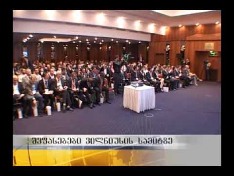 შეფასებები ვილნიუსის სამიტზე