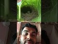 Nitesh Kumar office special adda