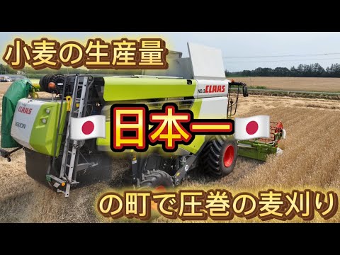 小麦さん専用　値下げしました　微生物利用の大展開 楽天市場】【9/6限定☆タイムセールで1,500円】輝きの青汁