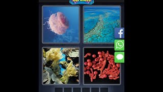 4 Images 1 Mot - Caraïbes - Énigme Journalière - 11/03/2019 - Mars 2018 - Solution - Réponse