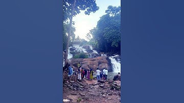 Aruvikuzhy Waterfalls #youtube #shorts #short #shots #shortsfeed #shortvideo #youtubeshorts #music