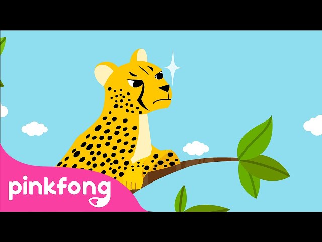 Citah | Lagu Binatang | Kartun & Lagu Anak | Pinkfong dan Baby Shark class=
