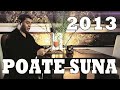 NICOLAE GUTA POATE SUNA ORIGINAL SUPER HIT 2013