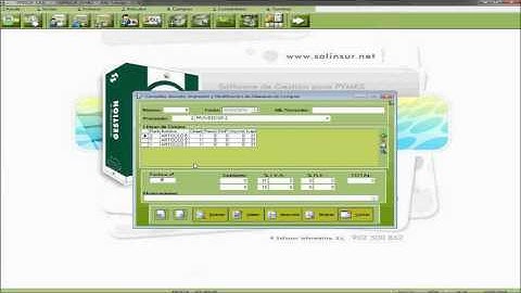 Tpvsof - Creación, consulta, modificación y borrado de albarán de compra - Solinsur Informática.