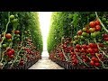 Israel Agriculture No.1 On the World  - AGRITECH 2018