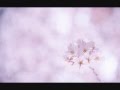 Nee Fujita Maiko Lyrics