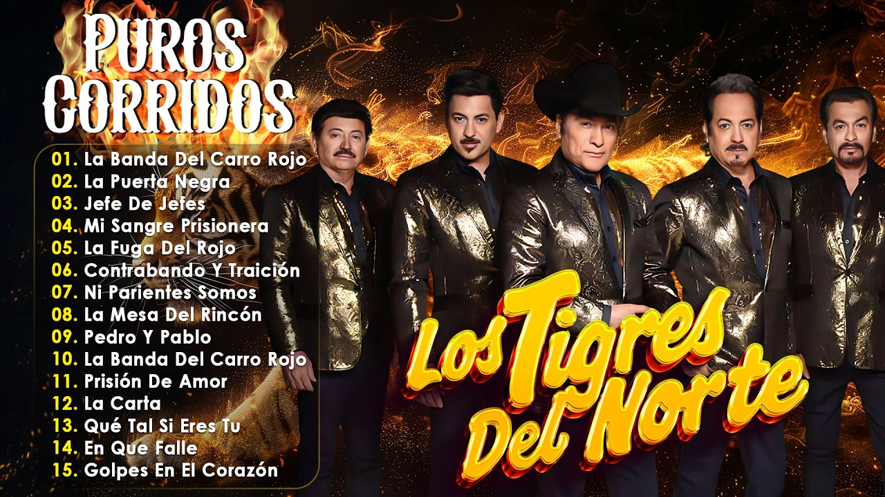 PUROS CORRIDOS PESADOS DE TIGRES DEL NORTE ~ LOS TIGRES DEL NORTE CORRIDOS PROHIBIDOS ALBUM COMPLETO