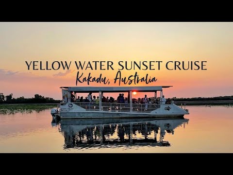 One of the world’s great wildlife experiences - Yellow Water Cruise ...