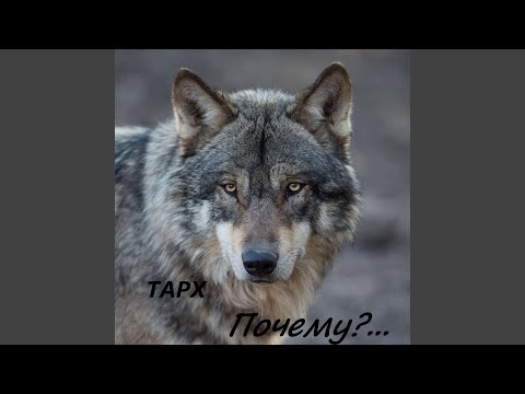 ТАРХ - Почему