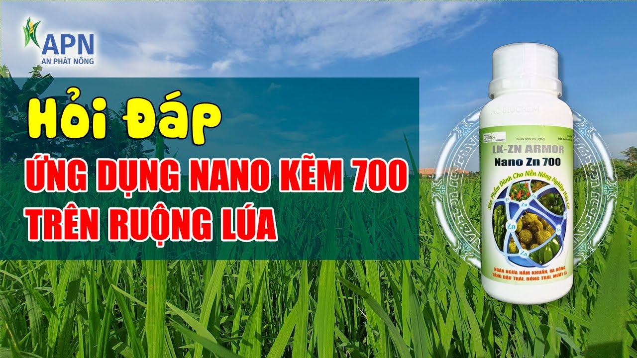 APN - VI CHẤT KẼM VÀ NHỮNG ỨNG DỤNG TRÊN RUỘNG LÚA - NANO KẼM 700 AN PHÁT NÔNG