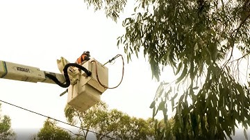 Active Tree Services - Day in the Life - Outdoors Indoors