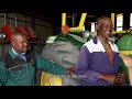 African Farming: Koos and Clifford Mthimkulu are building a family legacy (Full Episode)