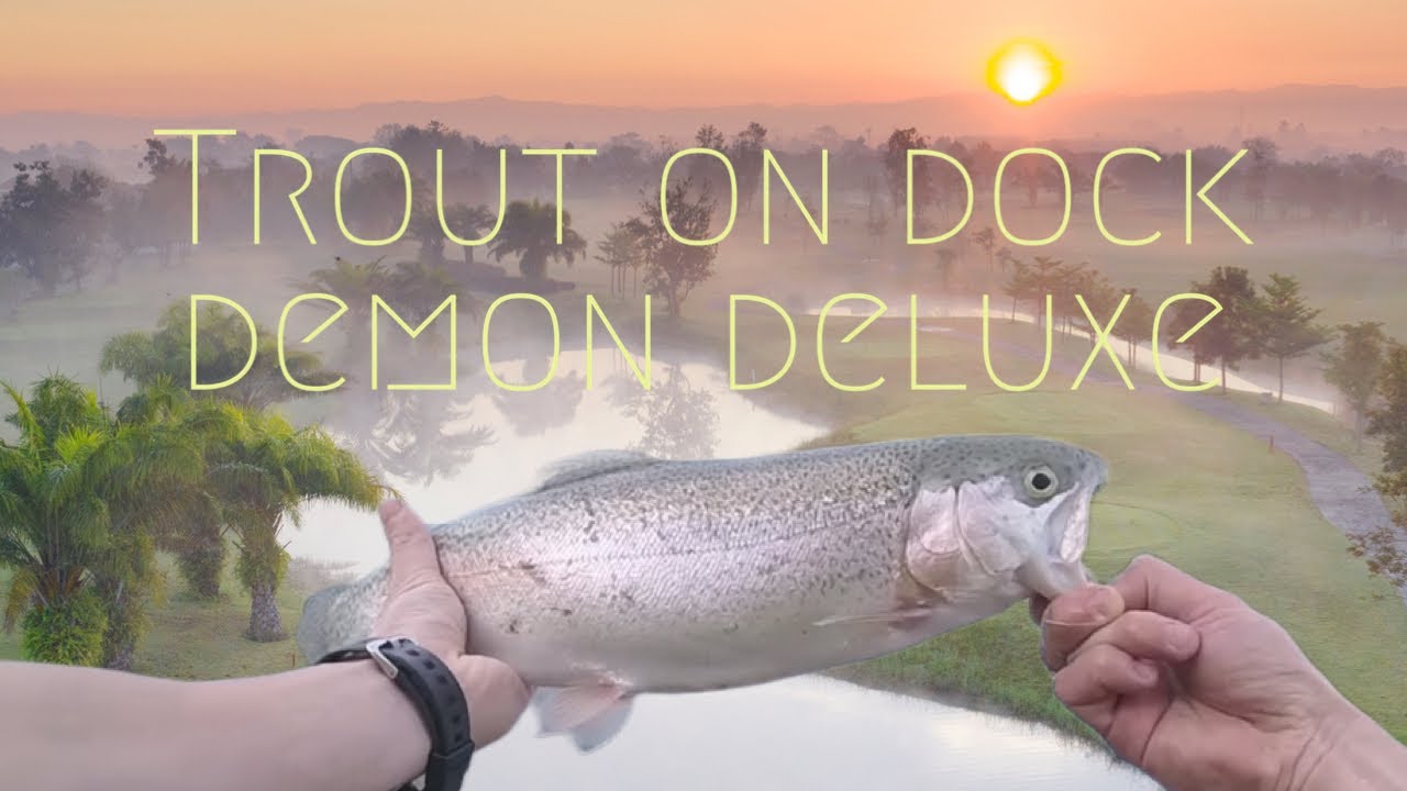 Rainbow Trout on Dock Demon Deluxe 