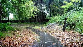 Rain Sounds Guaranteed to Fall Asleep Instantly, Calming Mind, Overcome Insomnia ASMR, White Noise