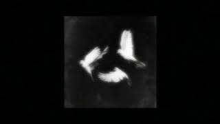 romantic sped up tiktok audios cuz i think I'm in love!! | Timestamps