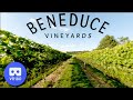 Beneduce Vineyards Virtual Reality Tour