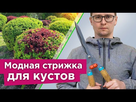 Какие кустарники СТОИТ ОБРЕЗАТЬ ВЕСНОЙ, а какие лучше не трогать? Правила формирования кустарников