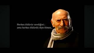 TUNCEL KURTİZ  herkes öldür sevdiğini #ercantv #film #şiir