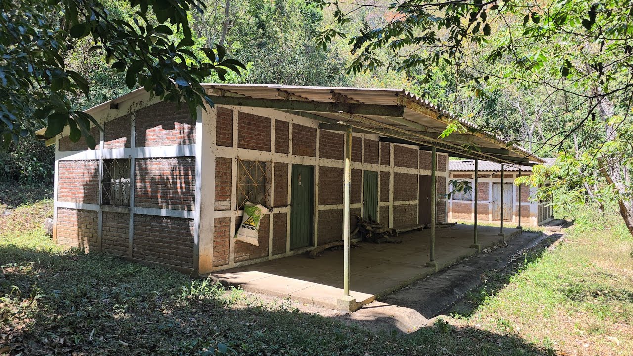 Hermosa Casa Abandonada aun se Encuentra en Perfectas Condiciones 
