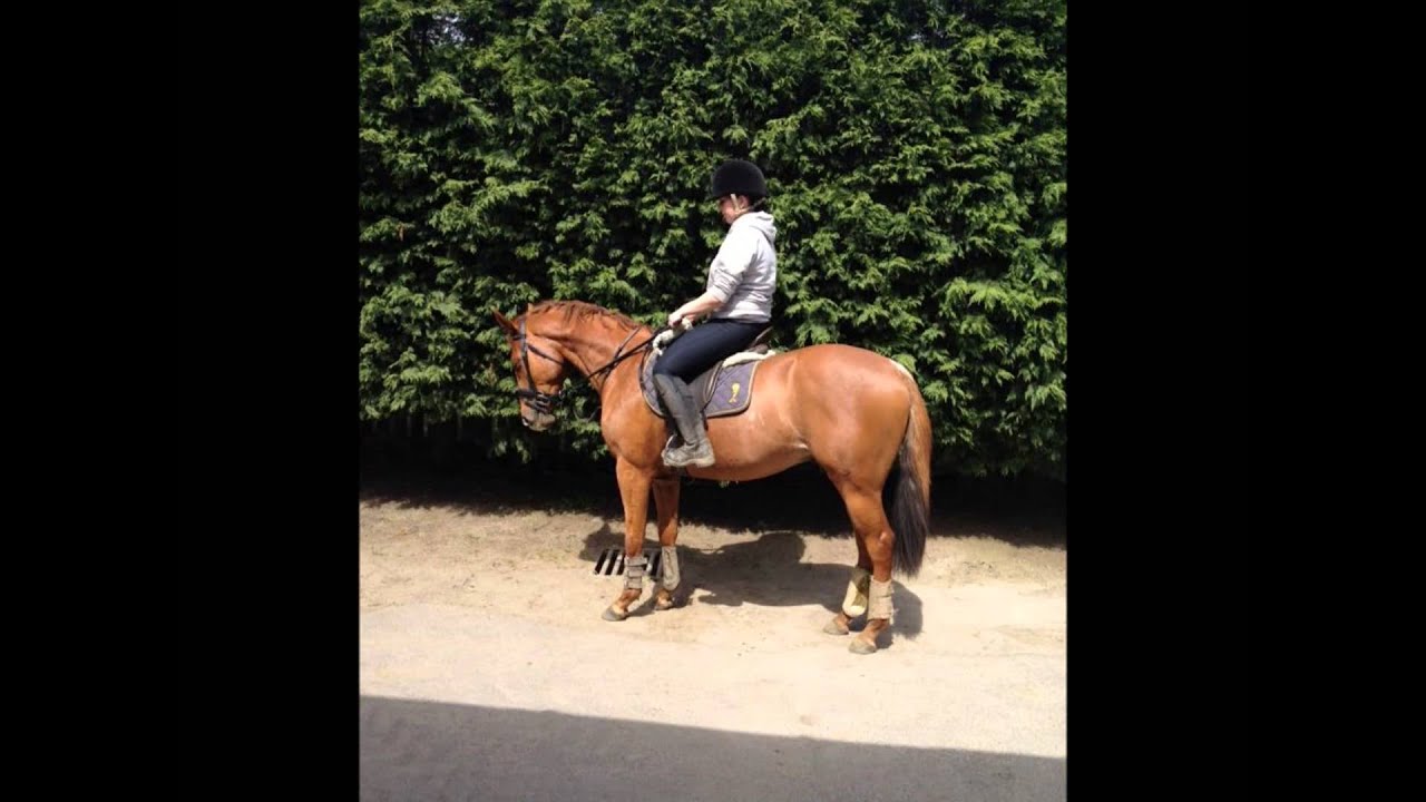 Rebel By Demand - The story