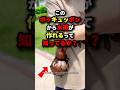 【超最先端】このボンキュッボンから水筒が作れるって知ってるか?#都市伝説