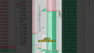 Прибыльная торговая стратегия | Крупная заявка в стакане