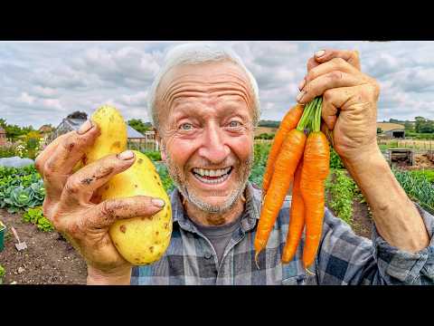 June No Dig Garden Tour | Harvests, New Plantings & Growth