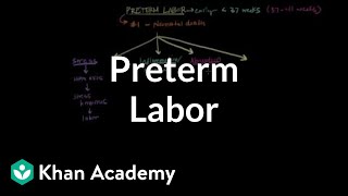 Preterm labor | Reproductive system physiology | NCLEX-RN | Khan Academy