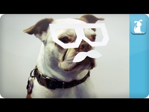 droppy dog droppy dog