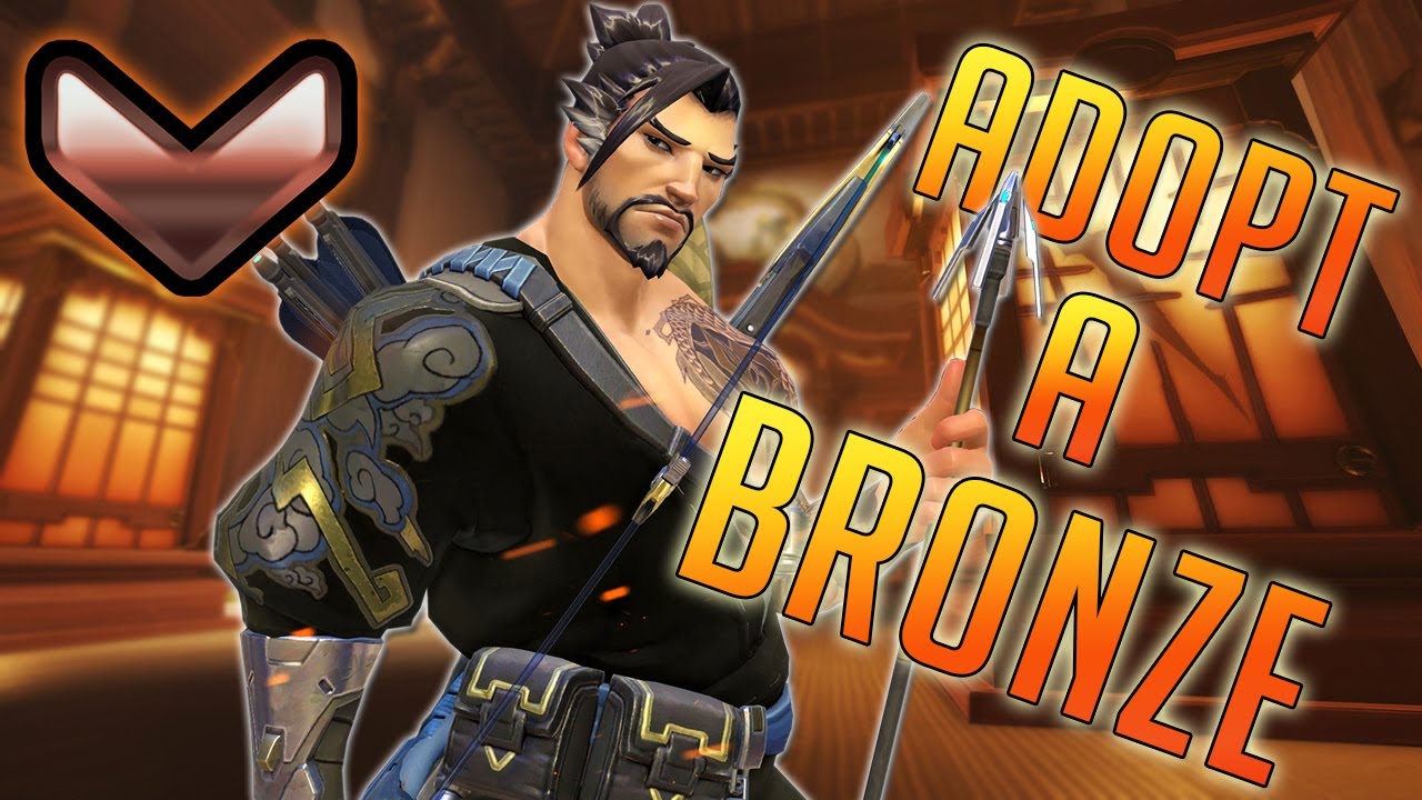 ADOPT A BRONZE