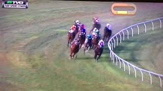 TURF SPRINT (G STAKES) 1/27/18 - RAINBOW HEIR !!!