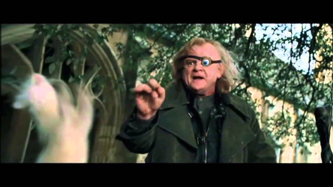 FERRET MALFOY CAN YOU WATCH IT ALL?! YouTube