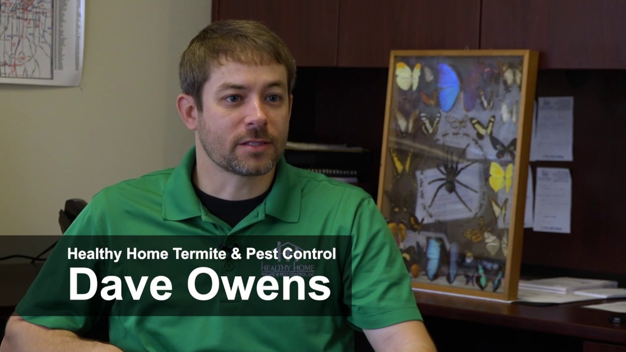 Healthy Home Termite & Pest Control YouTube