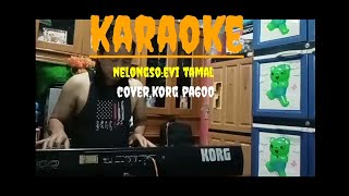karaoke ,nelongso,evi tamala,cover korg pa600,