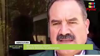 Estandares De Calidad Para Exportar Tara