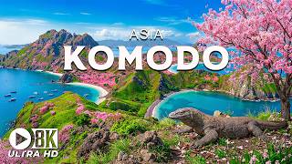 Komodo National Park 8K UHD | Indonesia Journey – Giant Dragon, Cliffs &amp; Majestic Nature