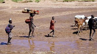 Dilemma of Uganda's Karimajong pastoralists: Climate change vs. govt policy