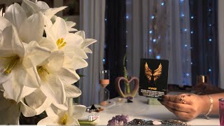 Aries Leo Sagittarius: Fire Signs Tarot  A “favor” creates a…