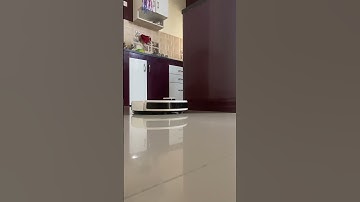 Robo cleaning #robot #vaccumcleaner