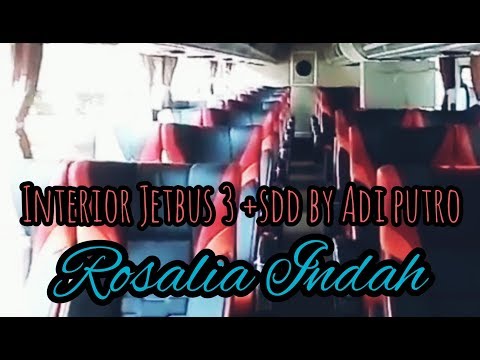 mengintip-interior-sdd-milik-pt.rosalia-indah-transport